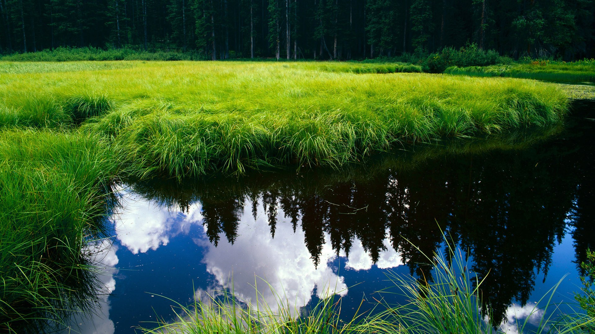 fb体育中国官网-山东泰山年轻球员入选国家队，山东泰山2021球员号码