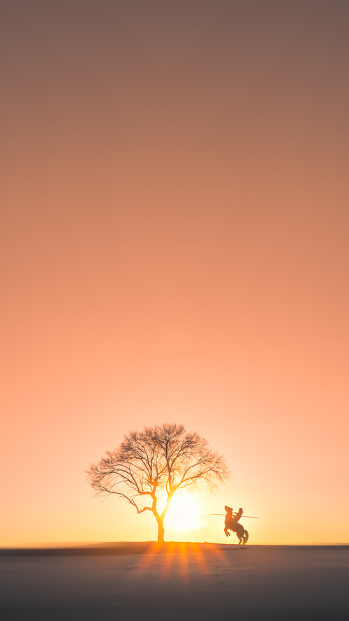 日本马术协会引入智能马鞍系统,实现实时数据监测与分析,提升骑乘体验。