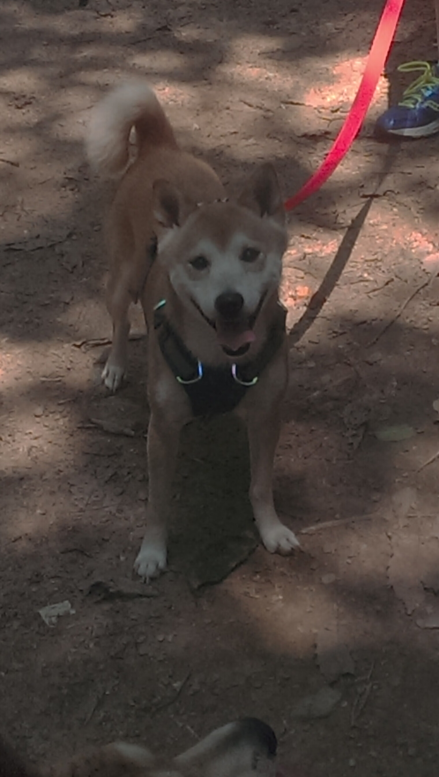 fb sports官网-法国球迷：我们等来的不是这个结局，法国球迷_我们等来的不是这个结局吗