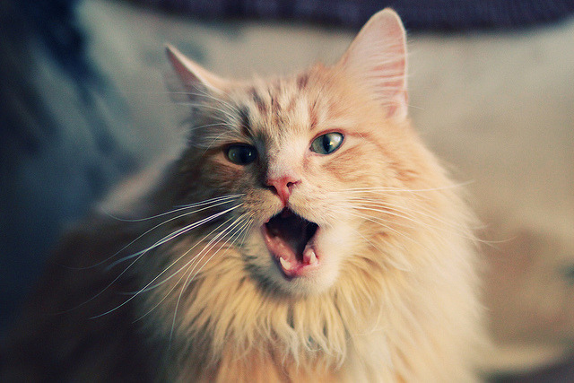 FB SPORTS-英格兰不敌克罗地亚，遭遇三连败，英格兰vs克罗地亚谁赢了