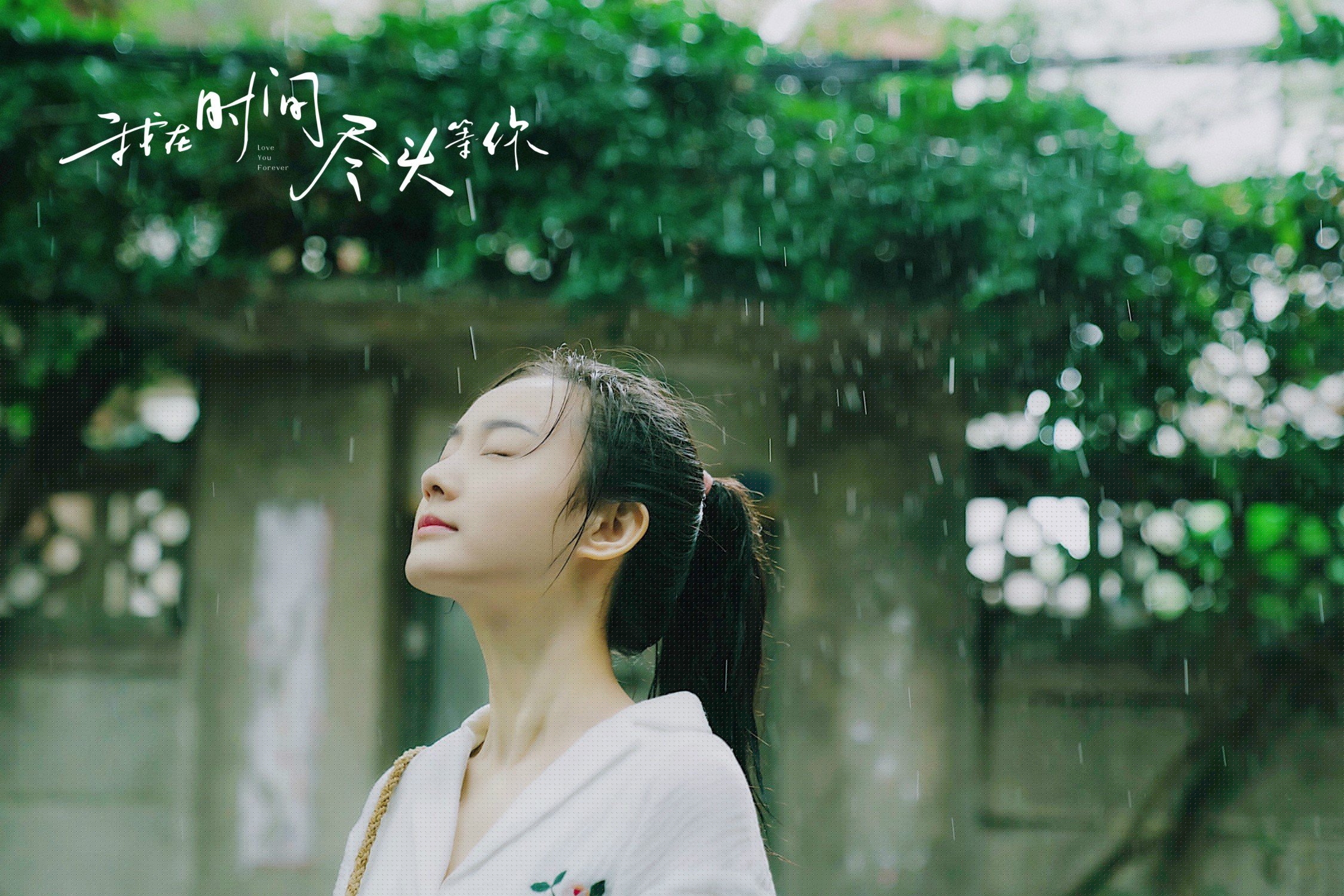 诺里奇城战术灵活多变，黄蜂军团欲冲超，诺里奇治安