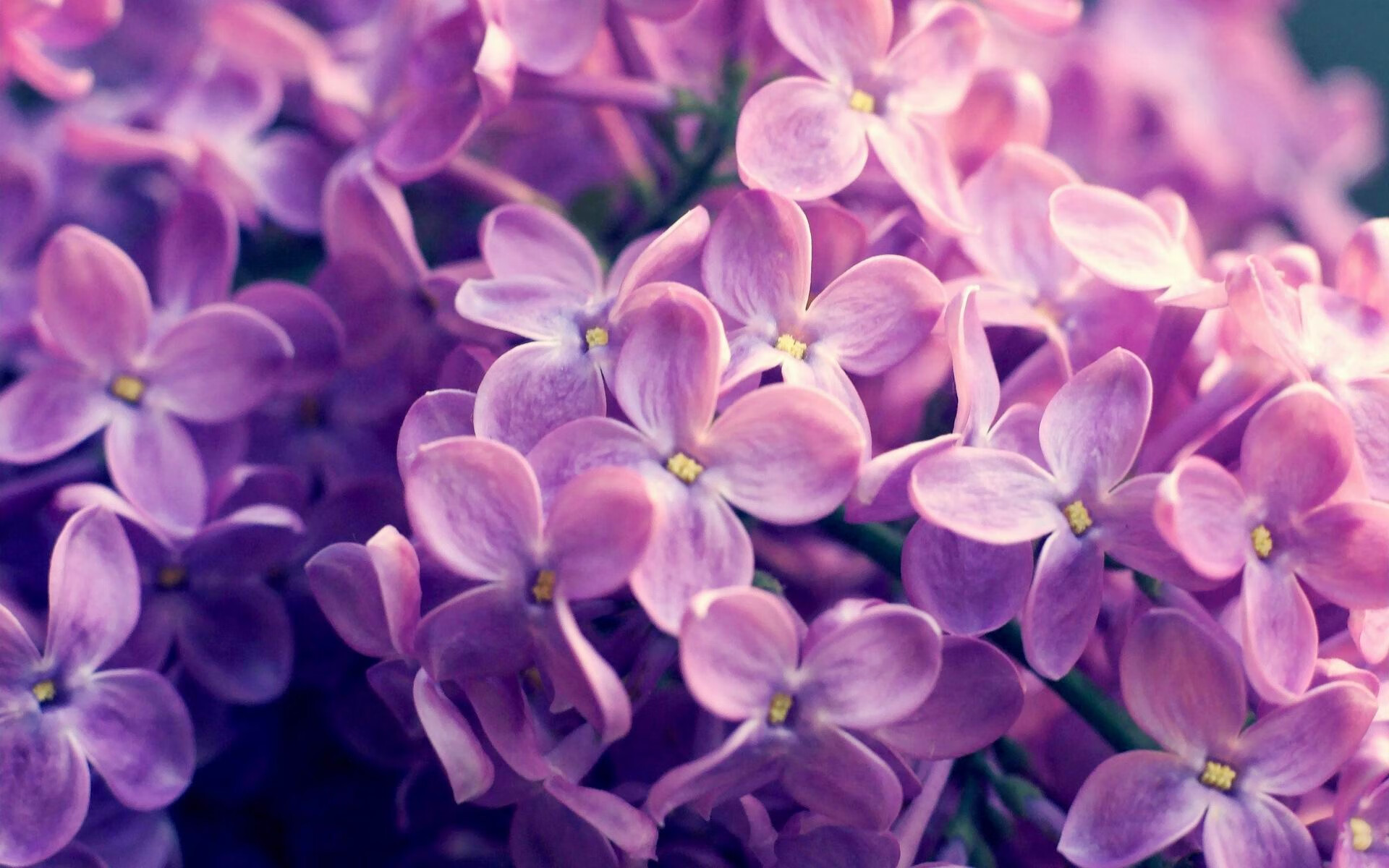 FB体育下载-阿尔巴尼亚队奋力拼搏，用实力征服，阿尔巴尼亚近况