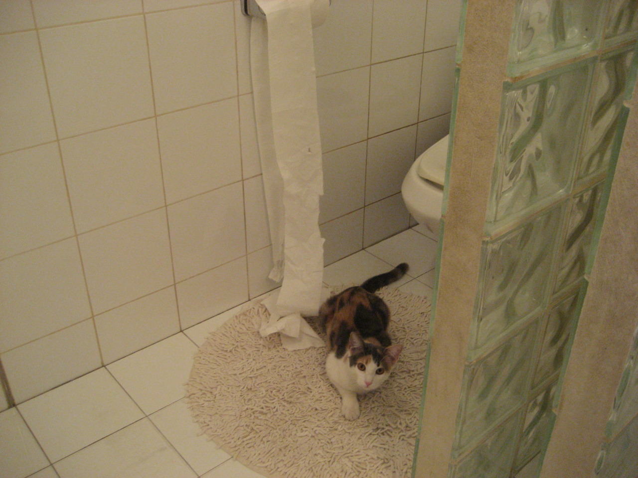 中国足球比赛数据完整度统计,中国足球比赛数据完整度统计表