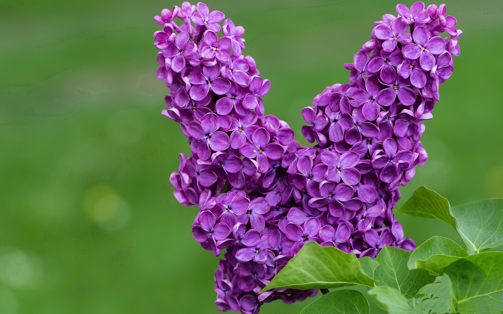 fb体育官网-中国女篮积极总结比赛经验，中国女篮分析