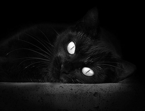 fb体育中国官网-中国男篮关注三分命中率 力求多点开花，中国男篮三分绝杀