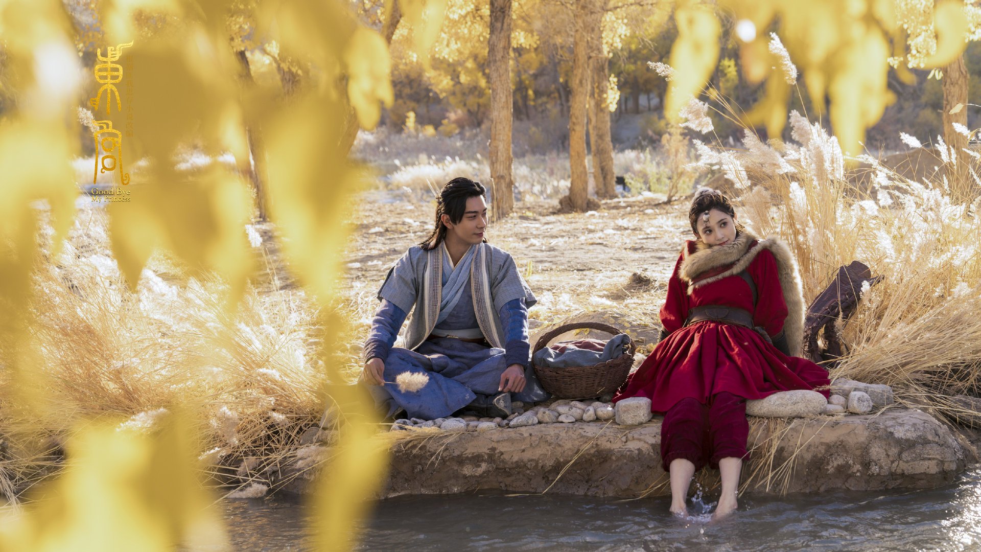 全国跳水新人赛小将发挥出色勇夺桂冠,2021跳水队员