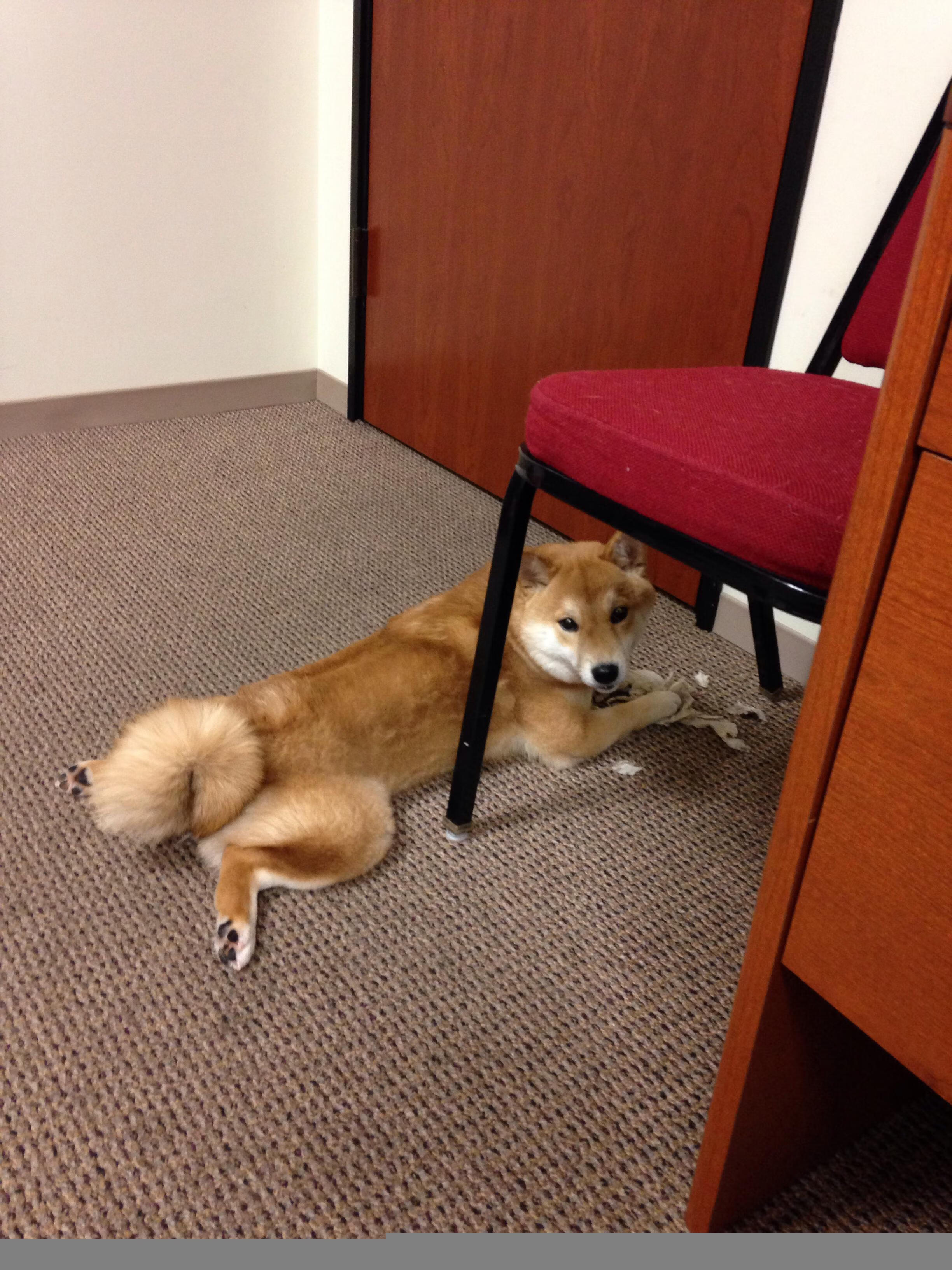 fb体育官网-国足选帅工作推进中新帅可能来自本土教练团队，国足新帅下周到位