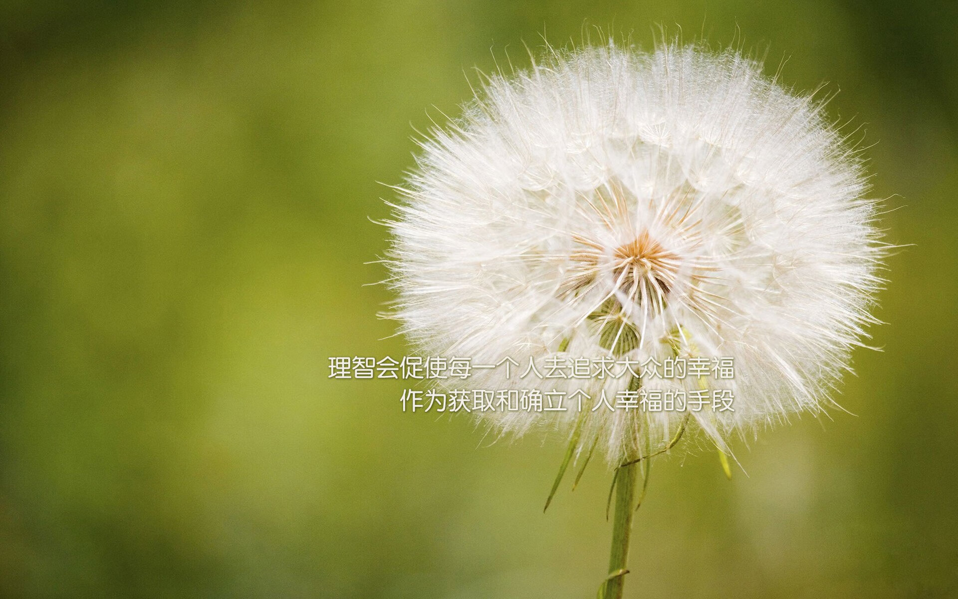 FB体育官方平台-巴西青训体系进一步完善，培养世界级足球精英