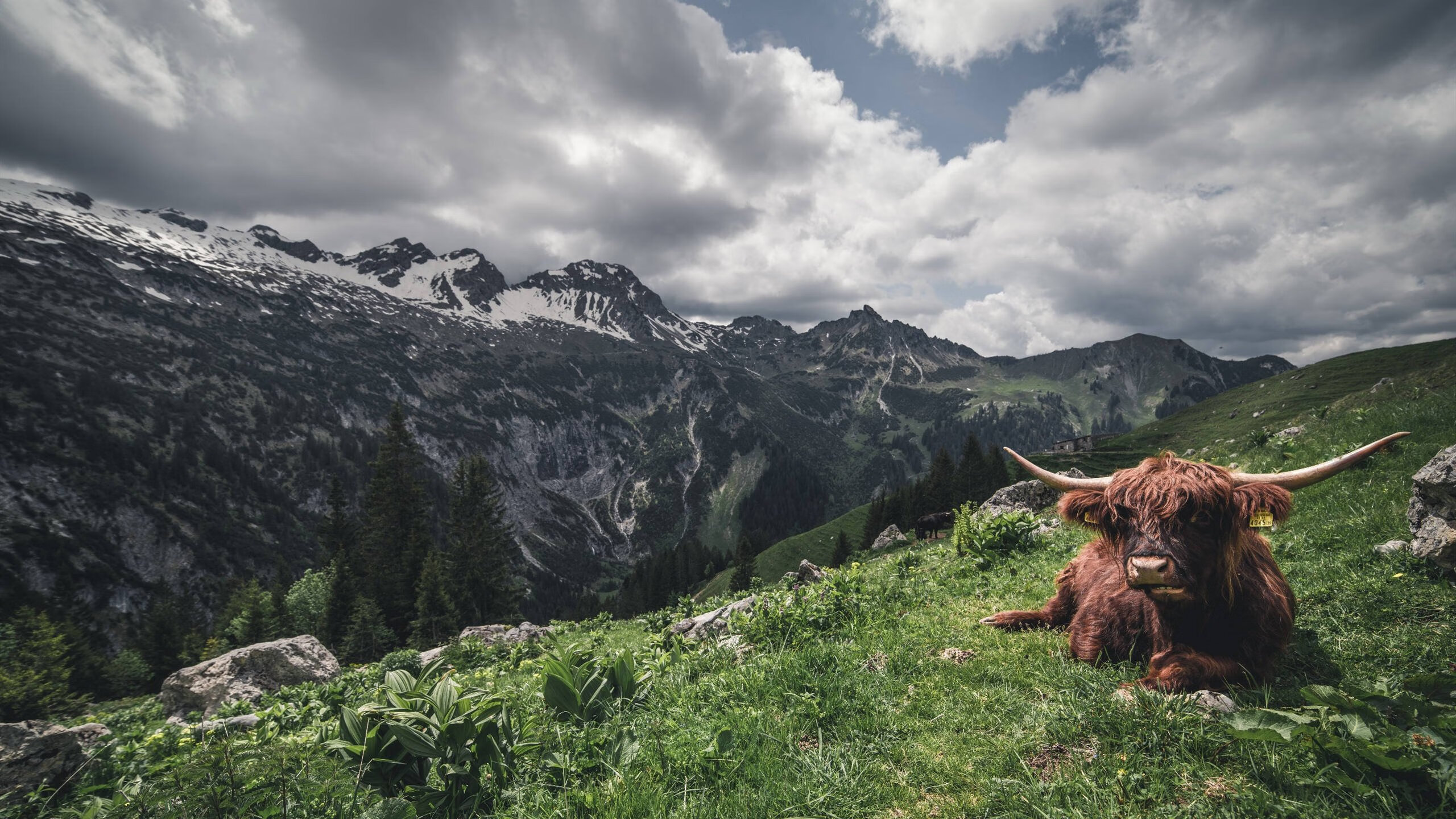 fb体育娱乐-法甲激烈角逐：战术与实力的完美碰撞