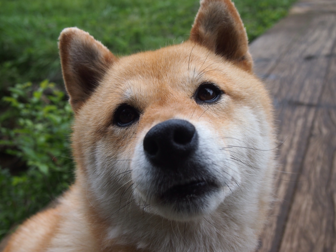 法甲激烈角逐：战术与实力的完美碰撞