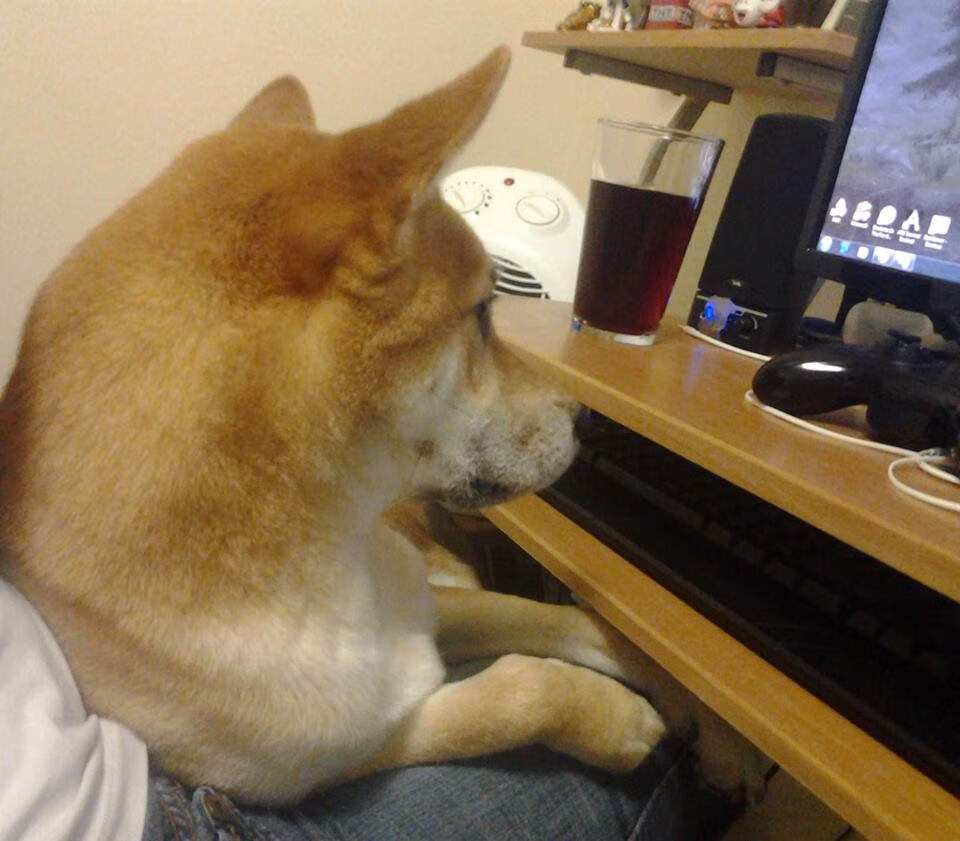 fb体育官网入口-莱谢恩·卡萨斯200米混合泳技术细腻获赞