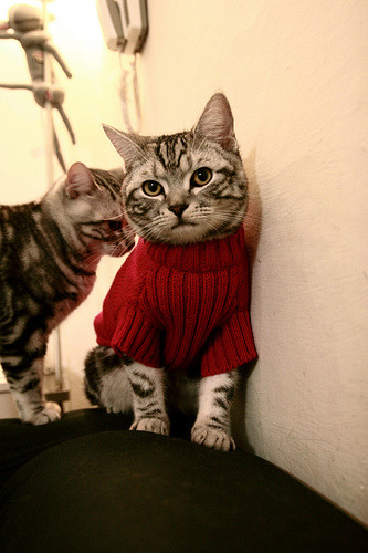 fb体育娱乐-西甲狂轰滥炸：精彩得分瞬间层出不穷，西甲 集锦